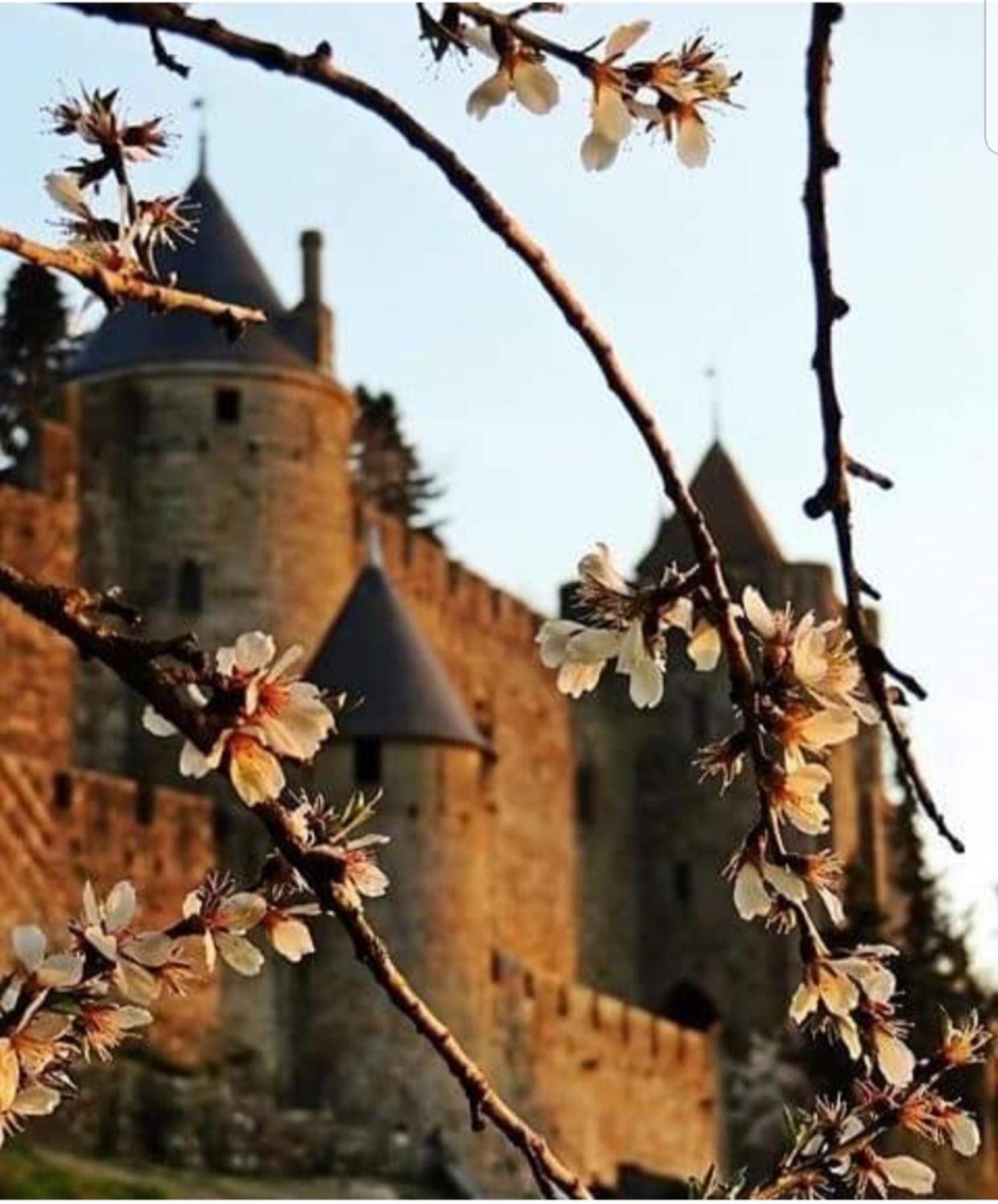 Villa Elegante A Carcassonne Avec Jardin Et Jacuzzi Ngoại thất bức ảnh